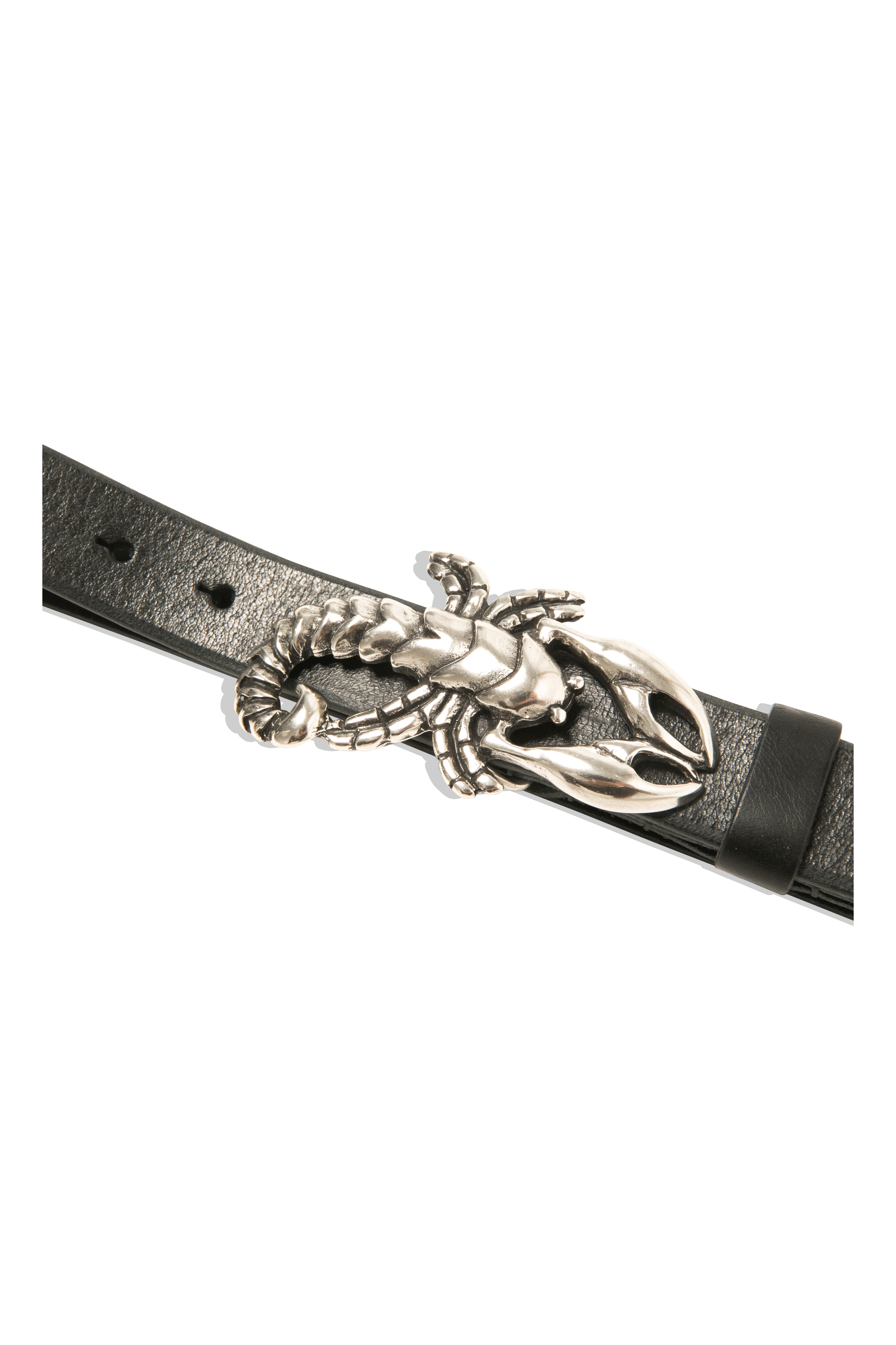Scorpion Belt