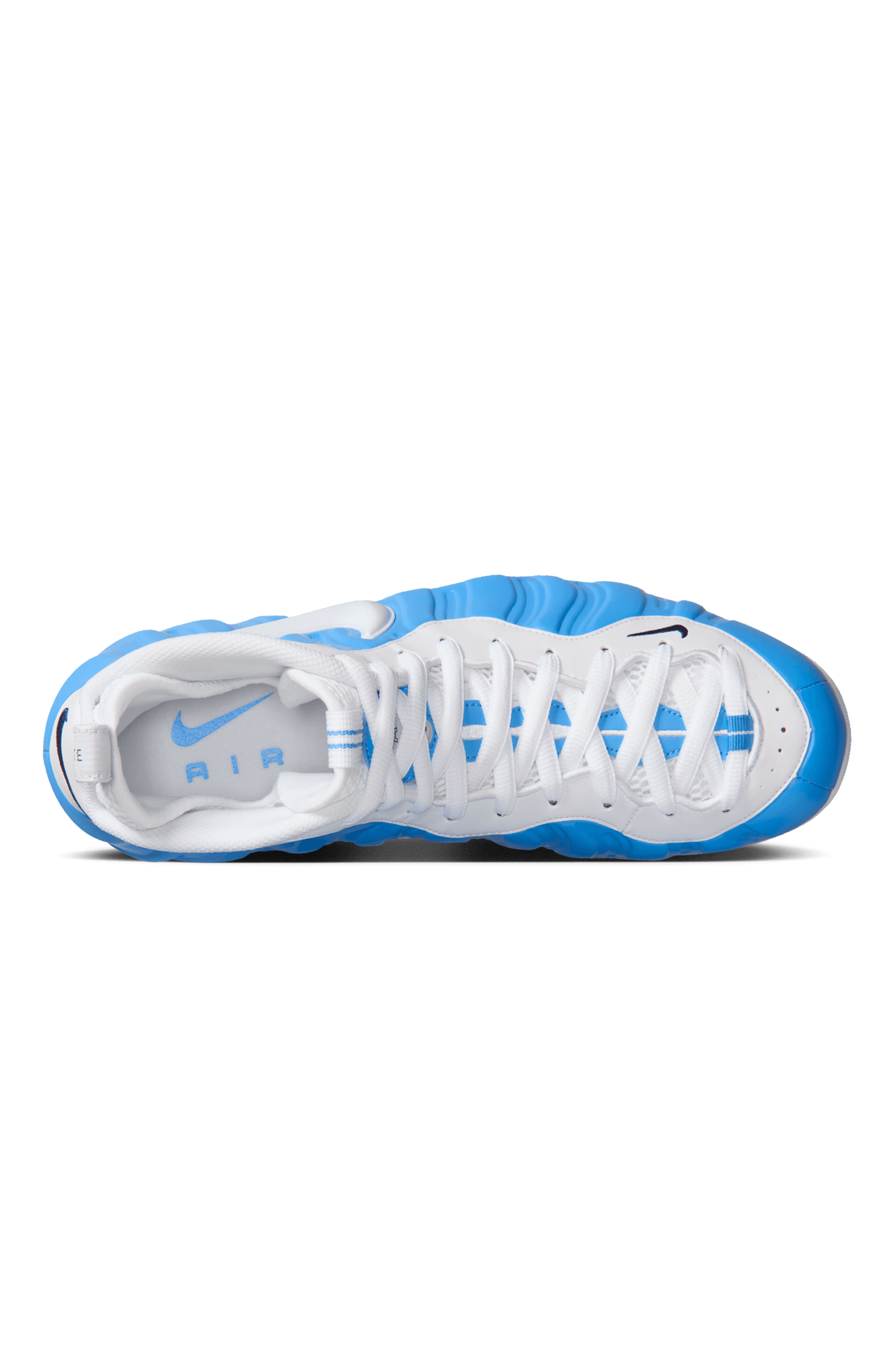 Air Foamposite Pro