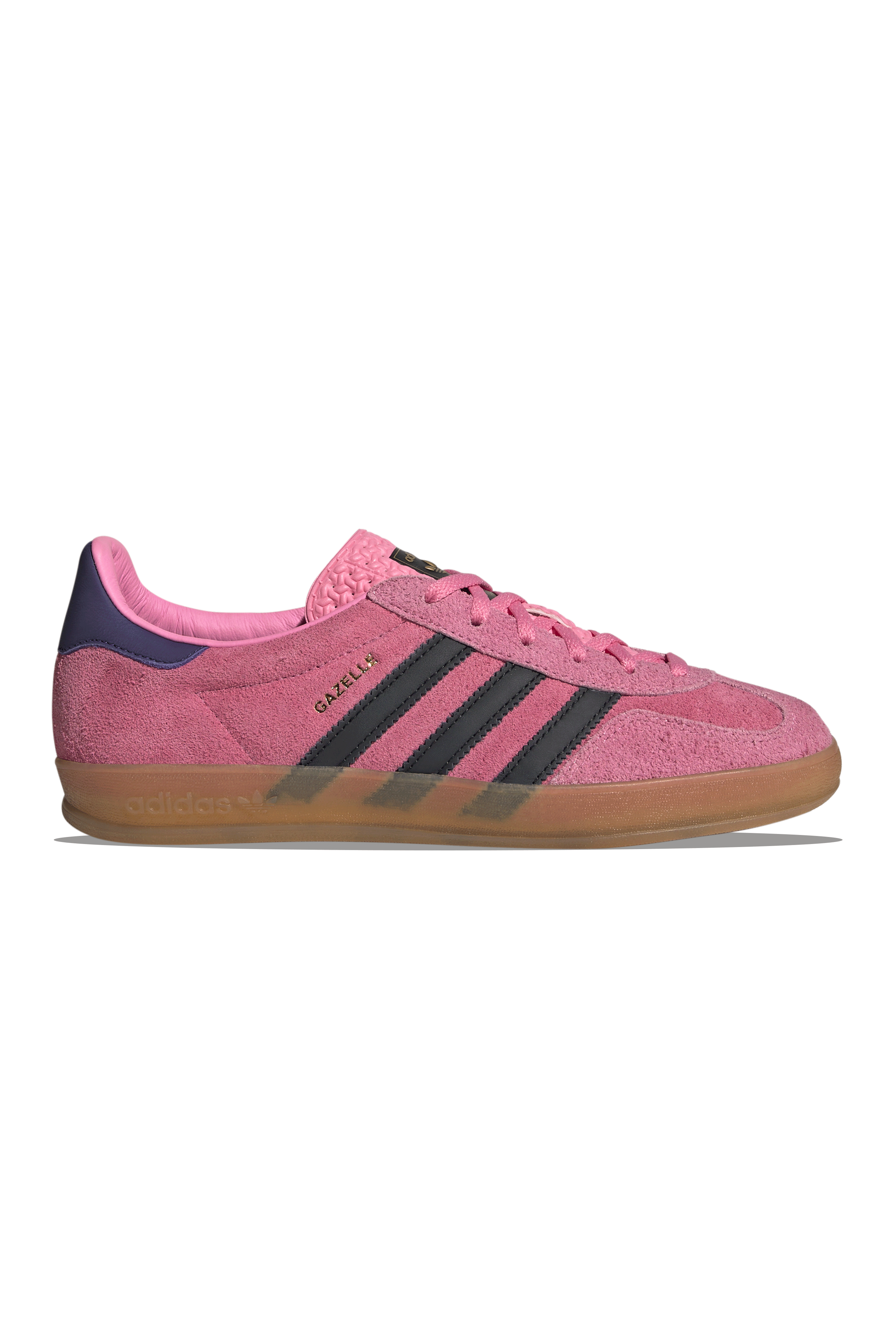 W Gazelle Indoor