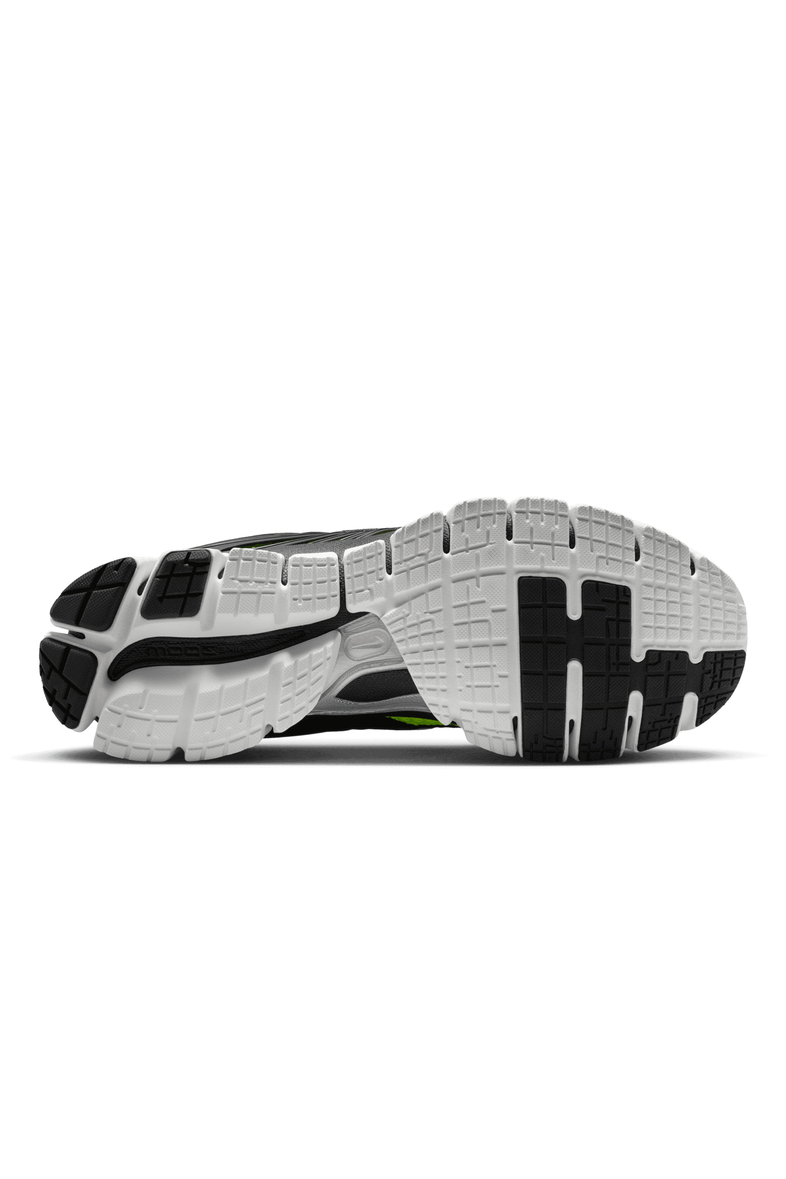Zooskylon 11