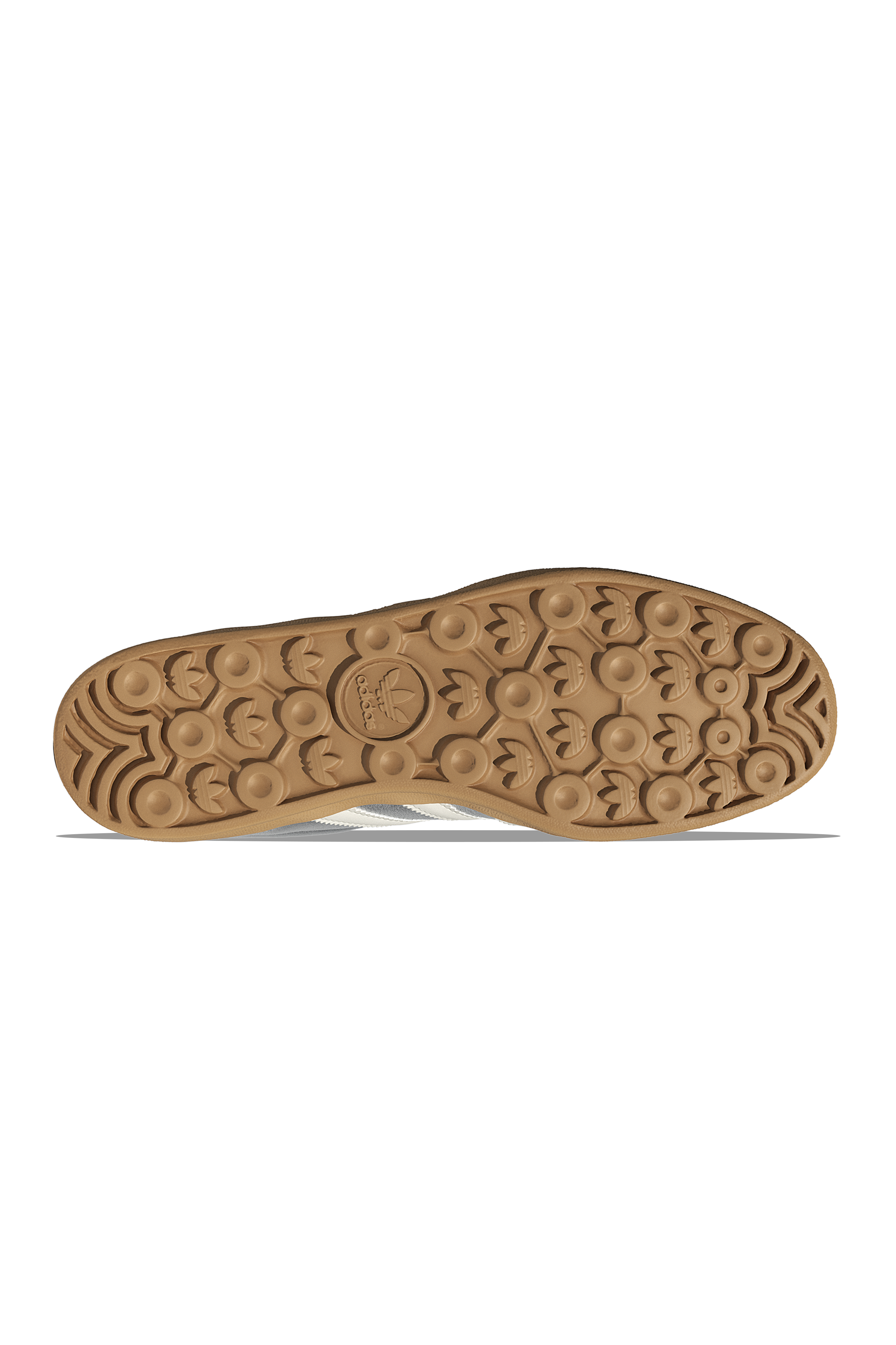 Gazelle Indoor