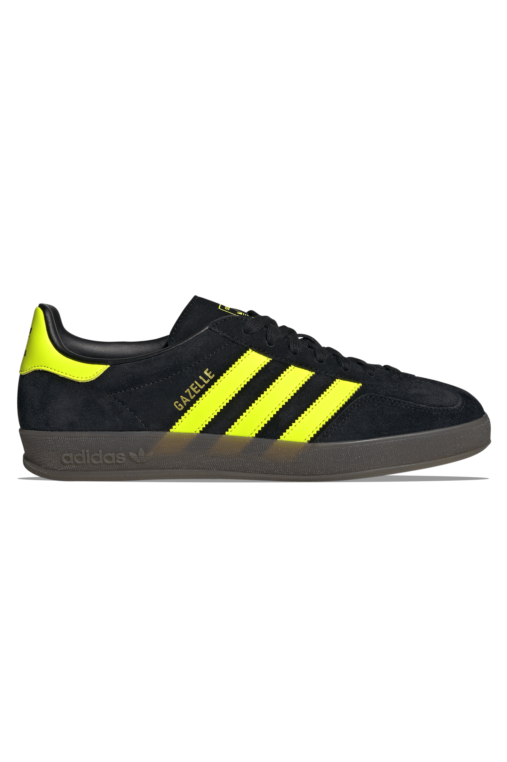 Gazelle Indoor