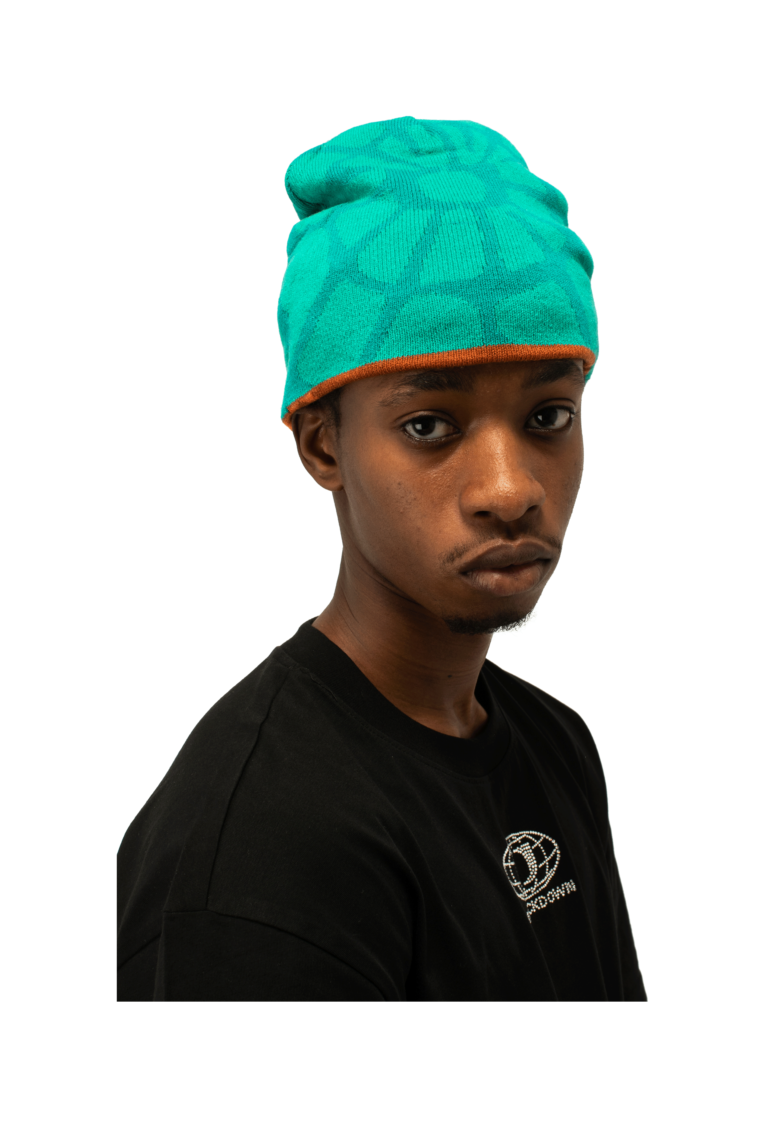 Spider Link Beanie