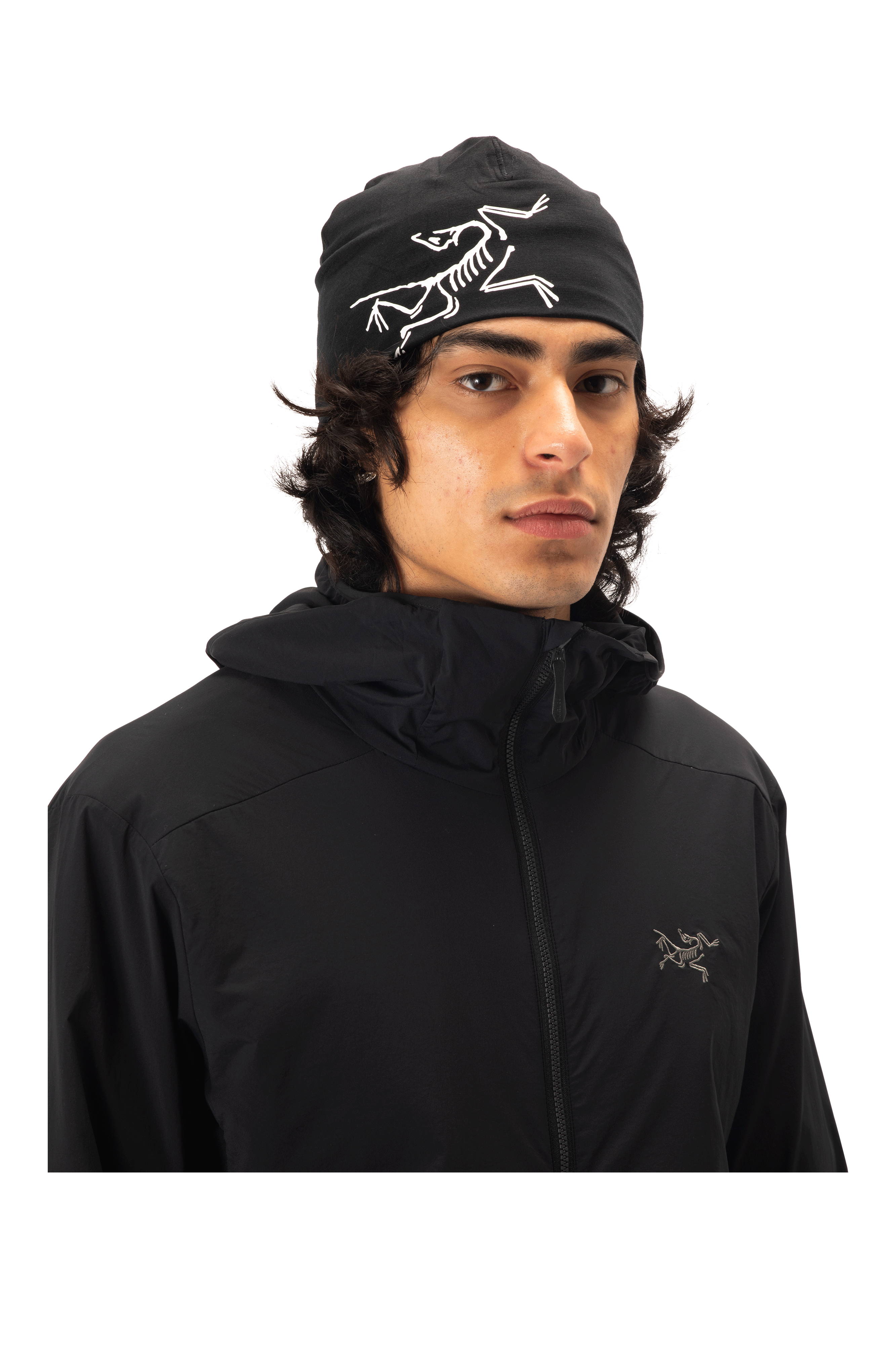 Satoro Merino Toque