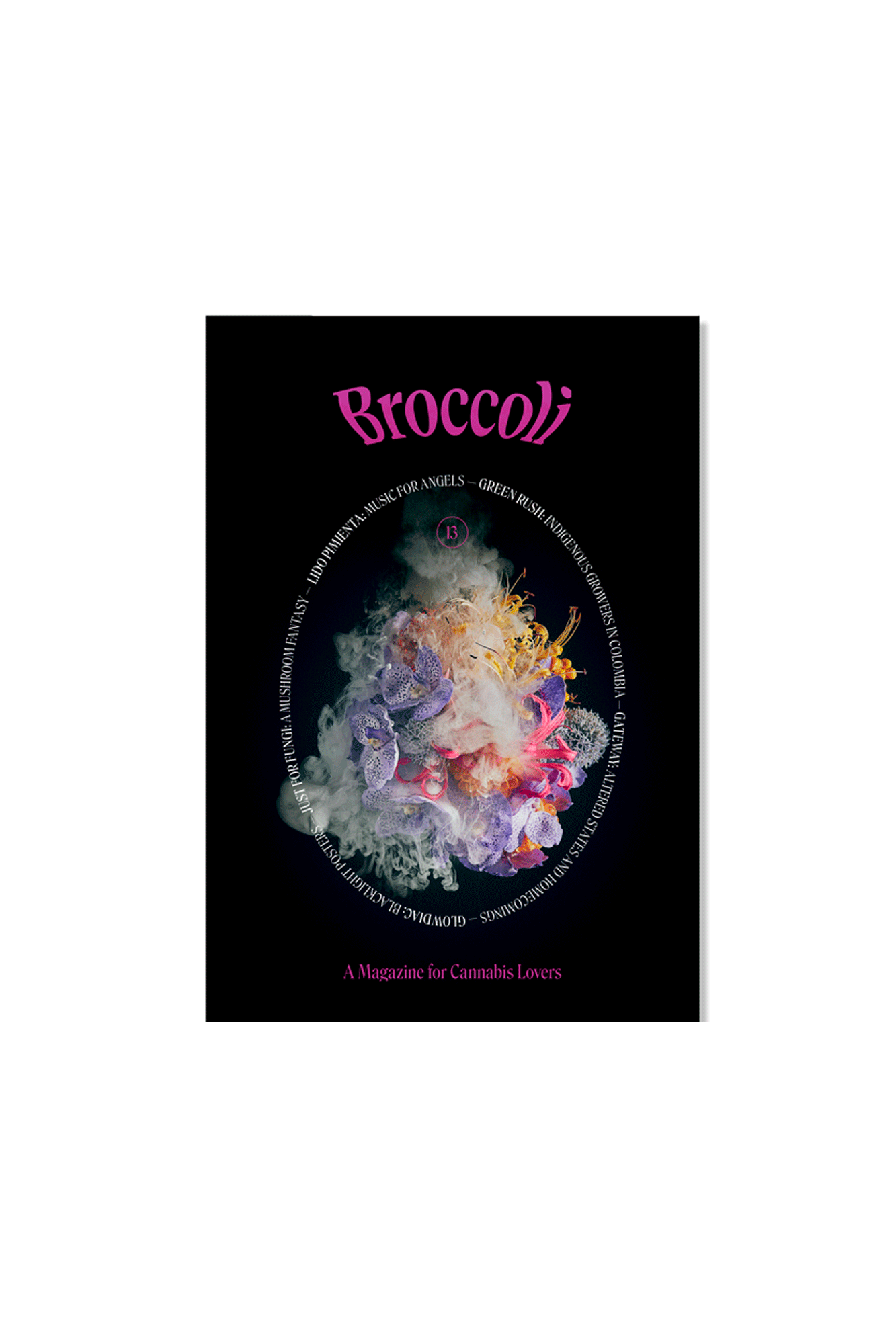 Issue 13