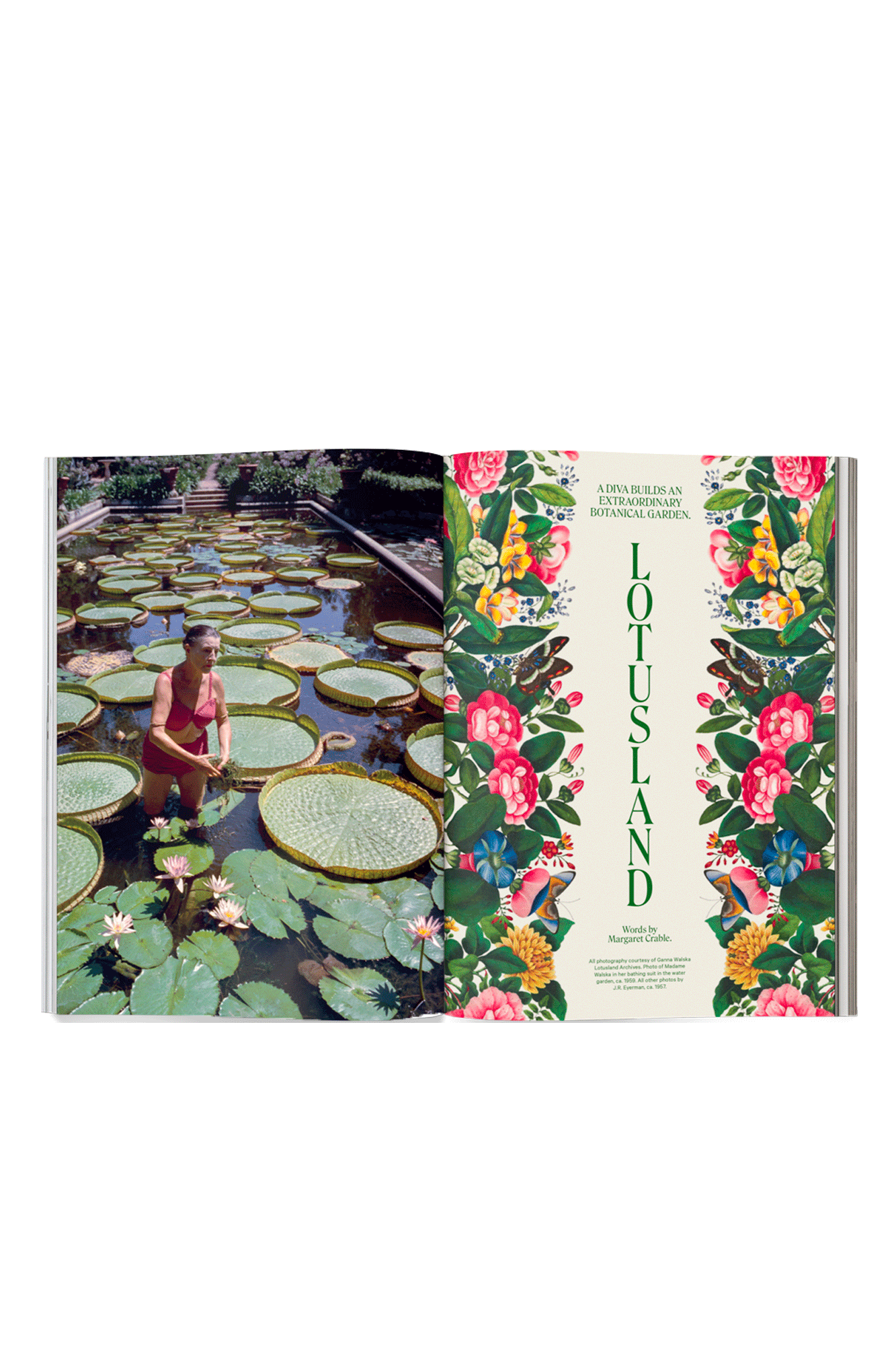 Issue 13