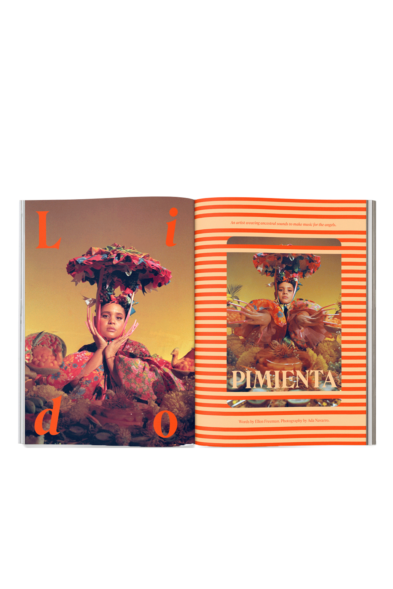 Issue 13