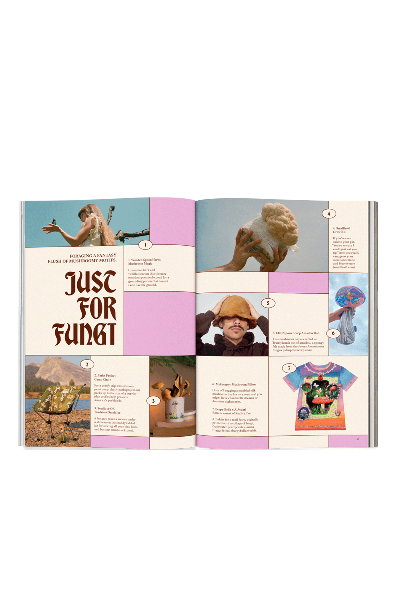 Issue 13
