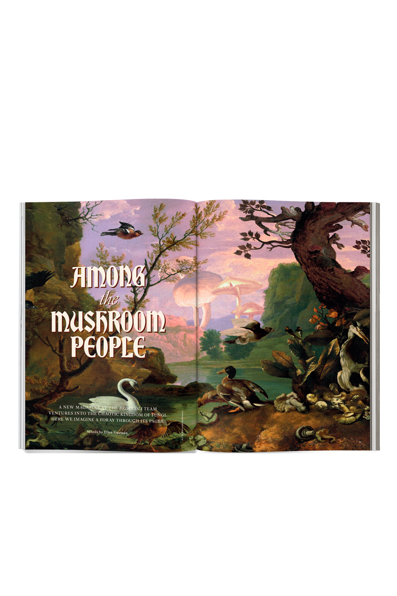 Issue 13
