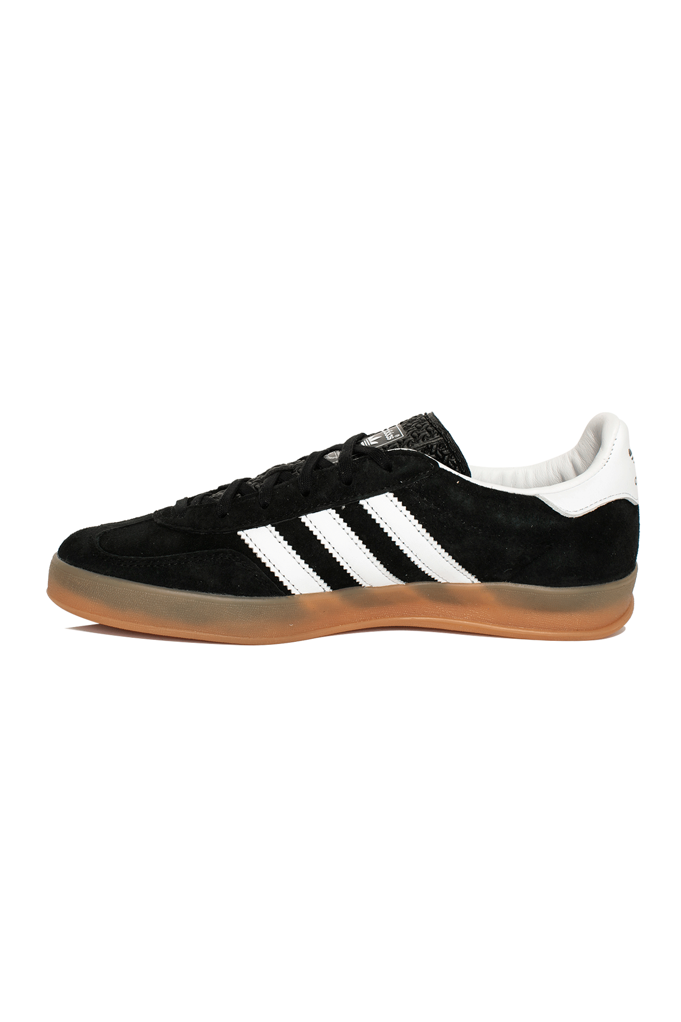 Gazelle Indoor