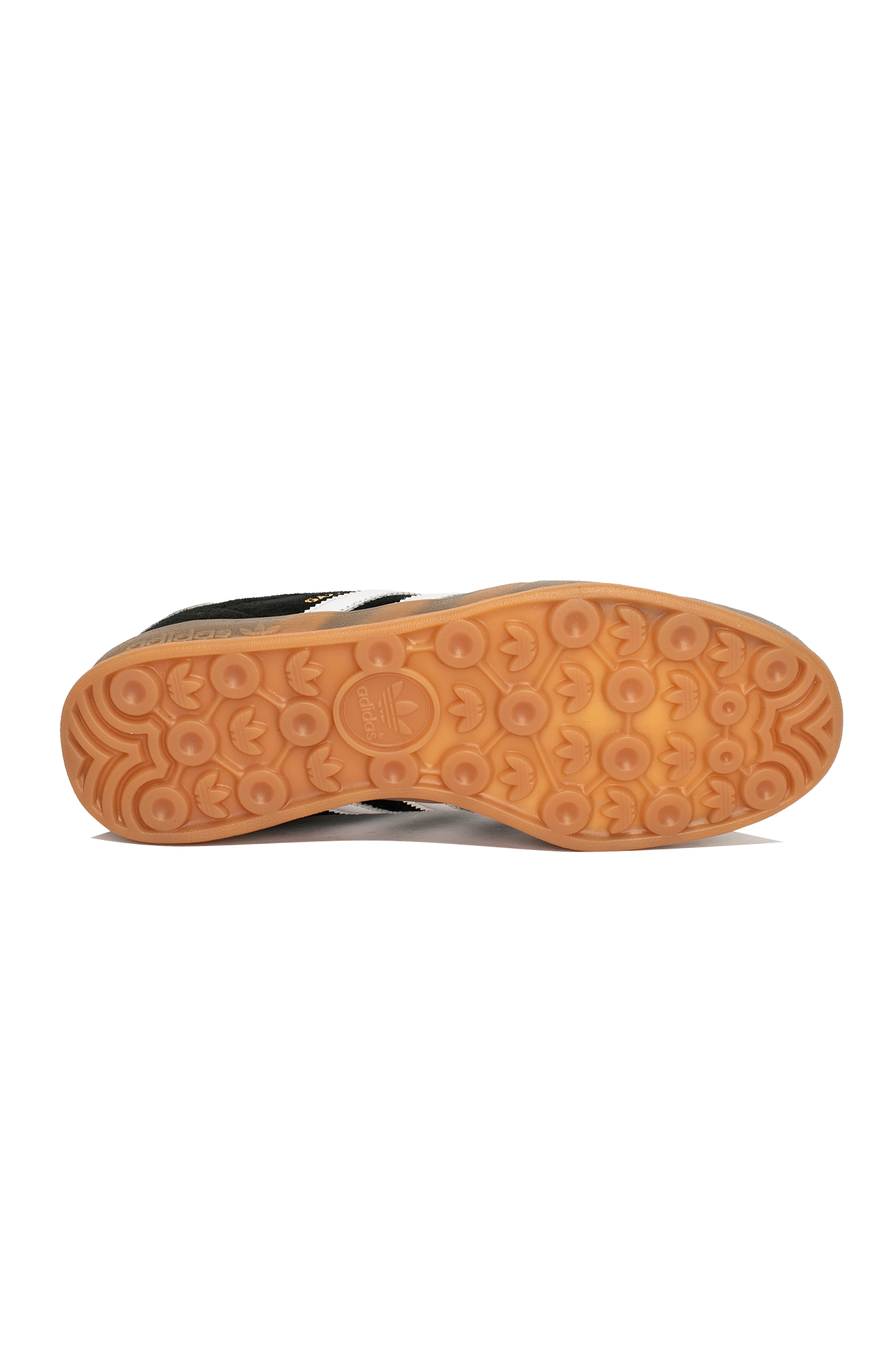 Gazelle Indoor
