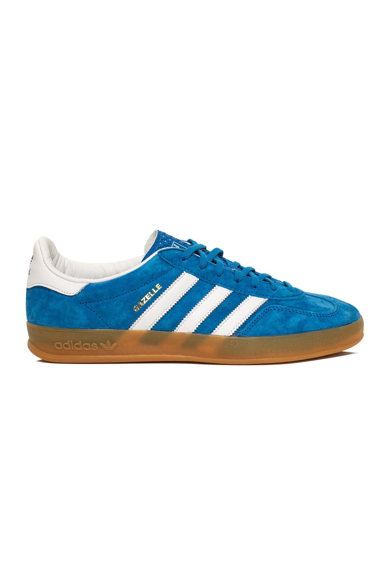Gazelle Indoor
