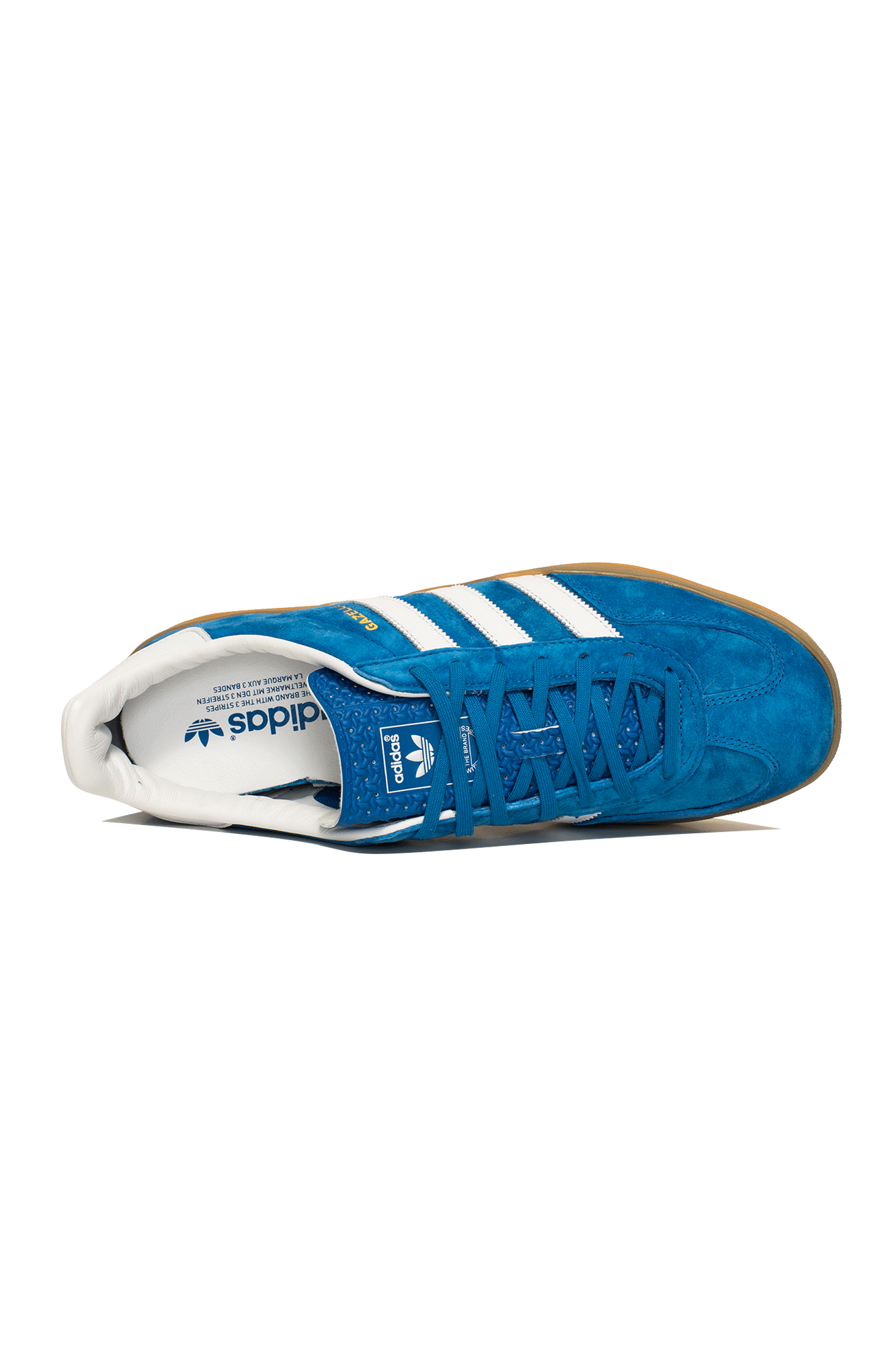 Gazelle Indoor