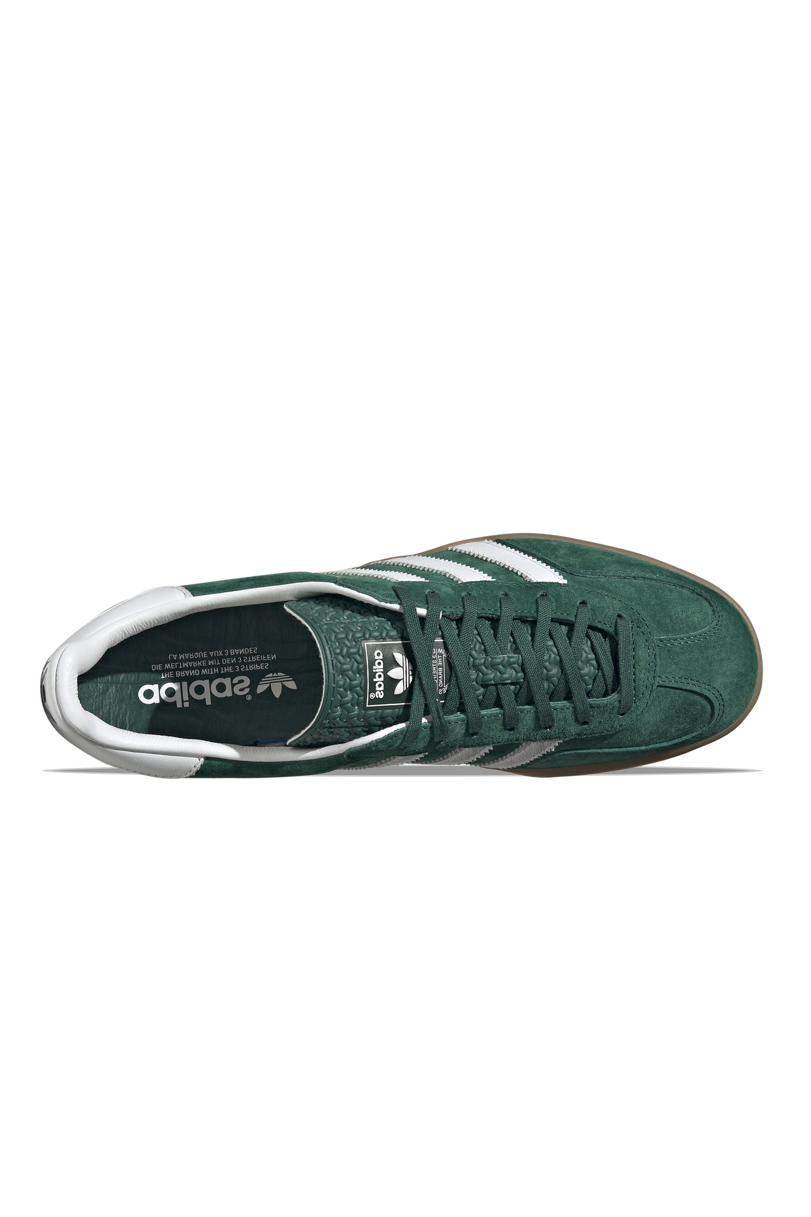 Gazelle Indoor