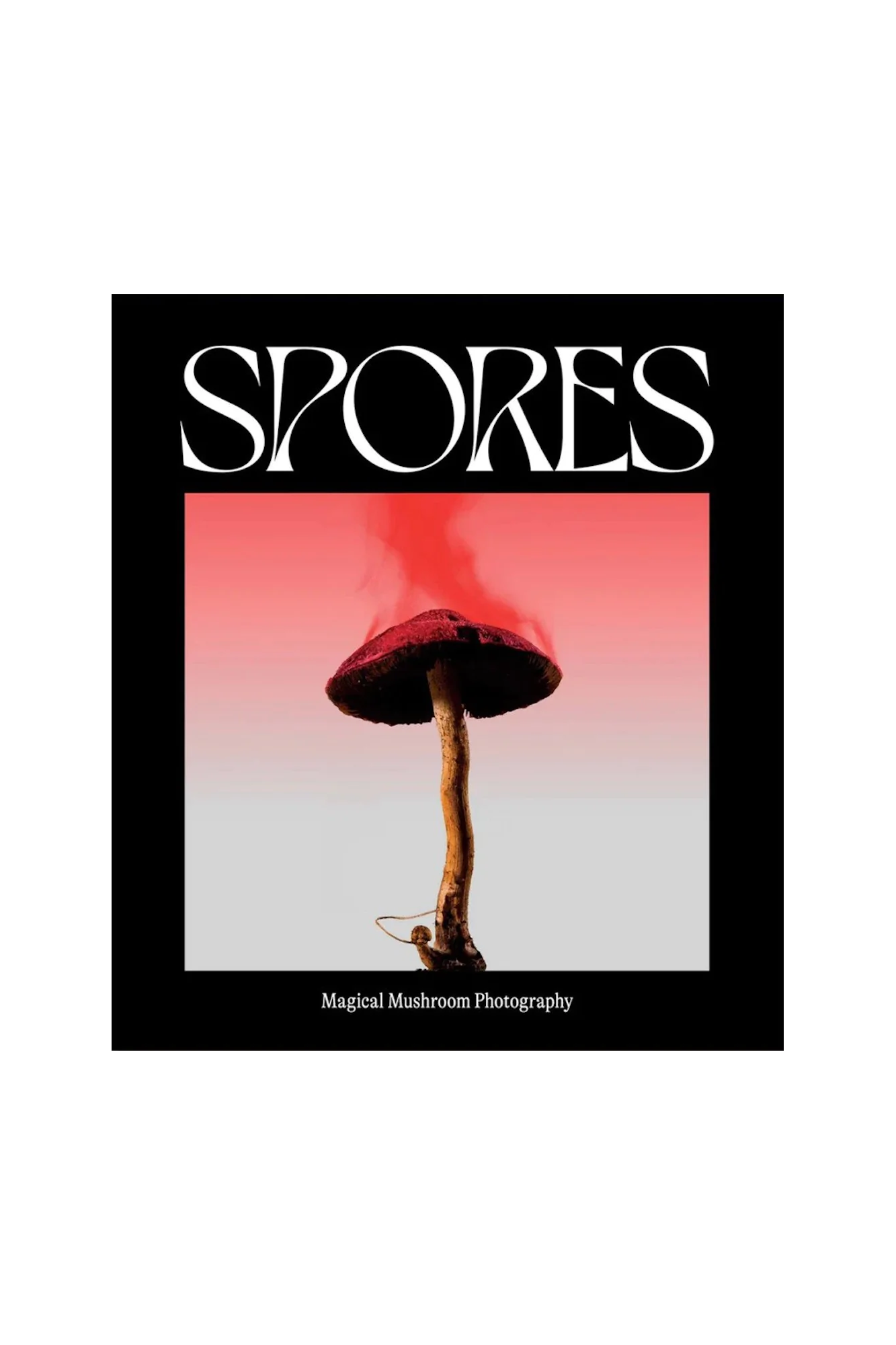 Issue 1