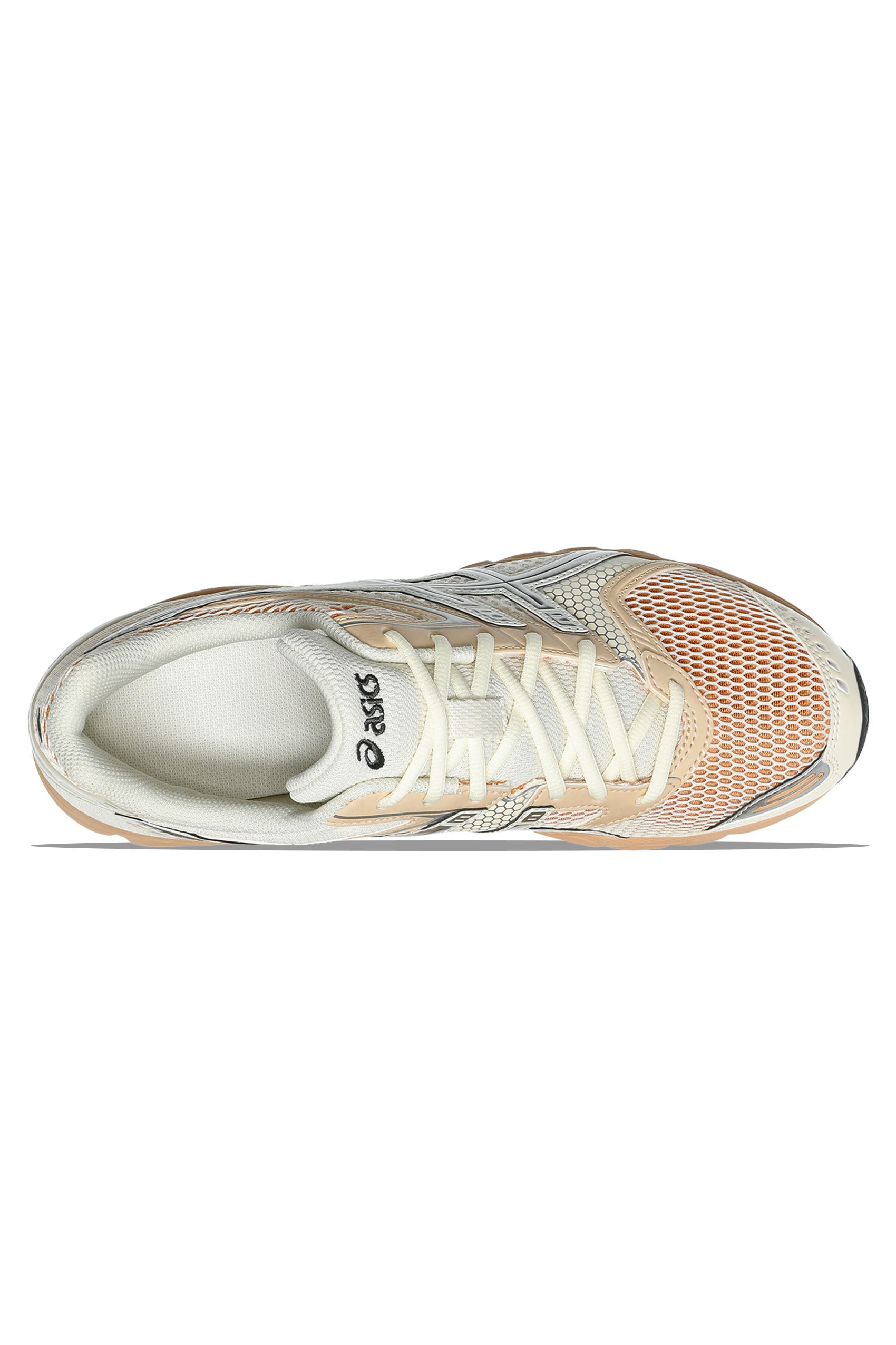 Gel-DS Trainer 14