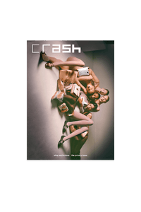 Issue 208 "the privacy issue"