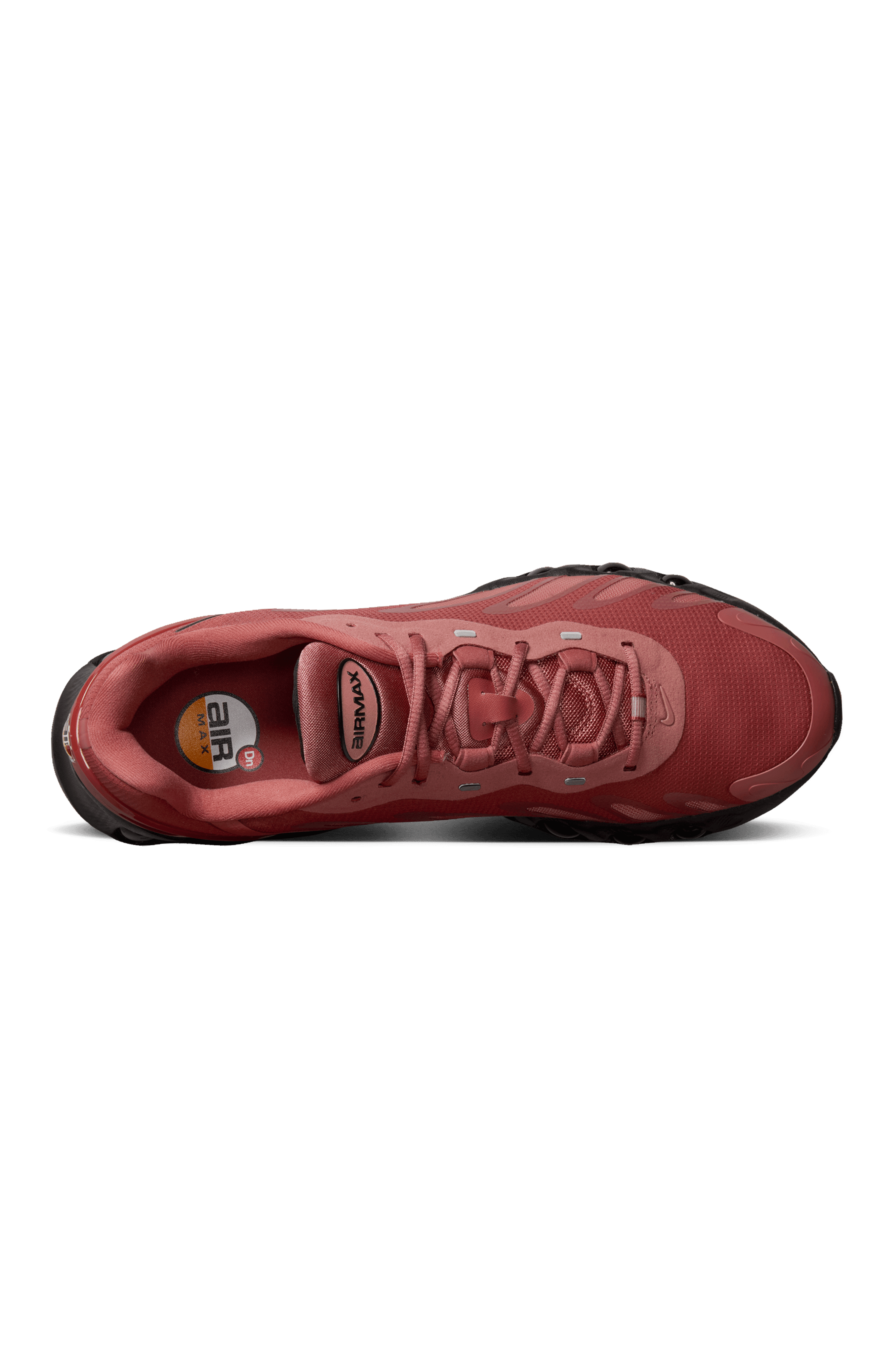 Air Max Dn8 " Canyon Rust"