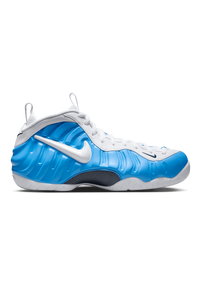 Air Foamposite Pro