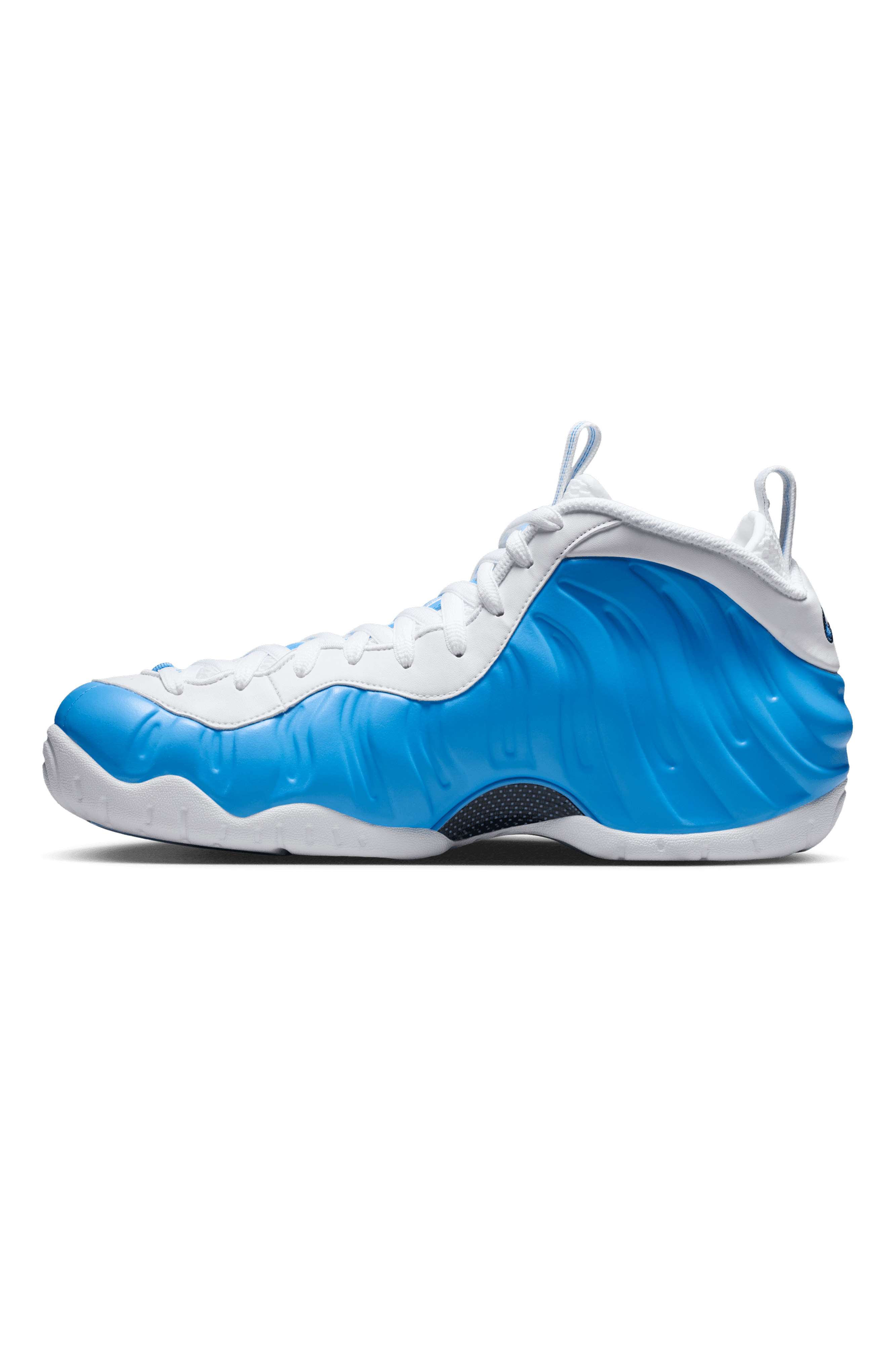 Air Foamposite Pro