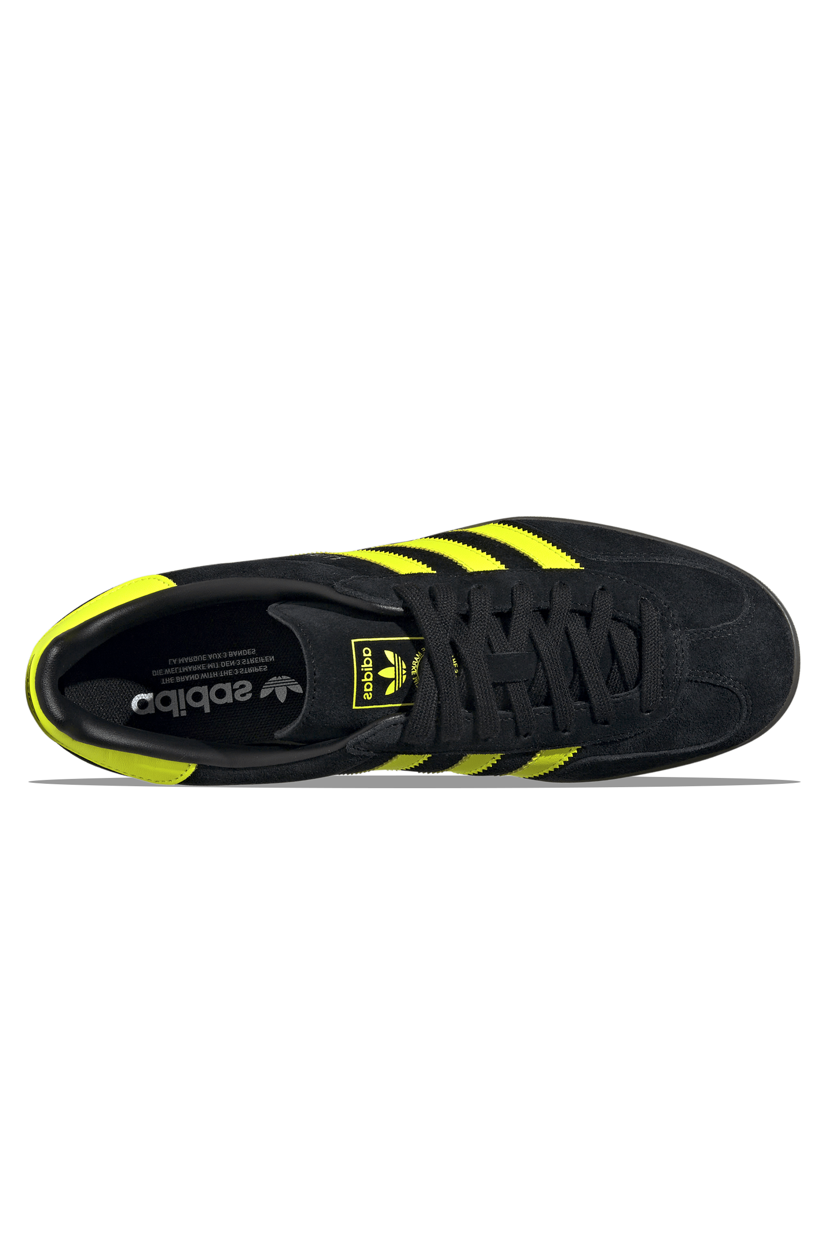 Gazelle Indoor