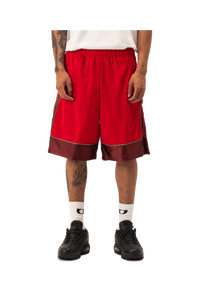 Mesh Puff Print Basketball Shorts