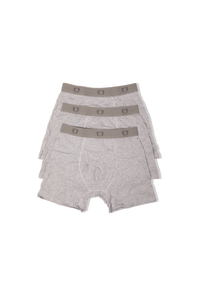 T3 Pack Briefs