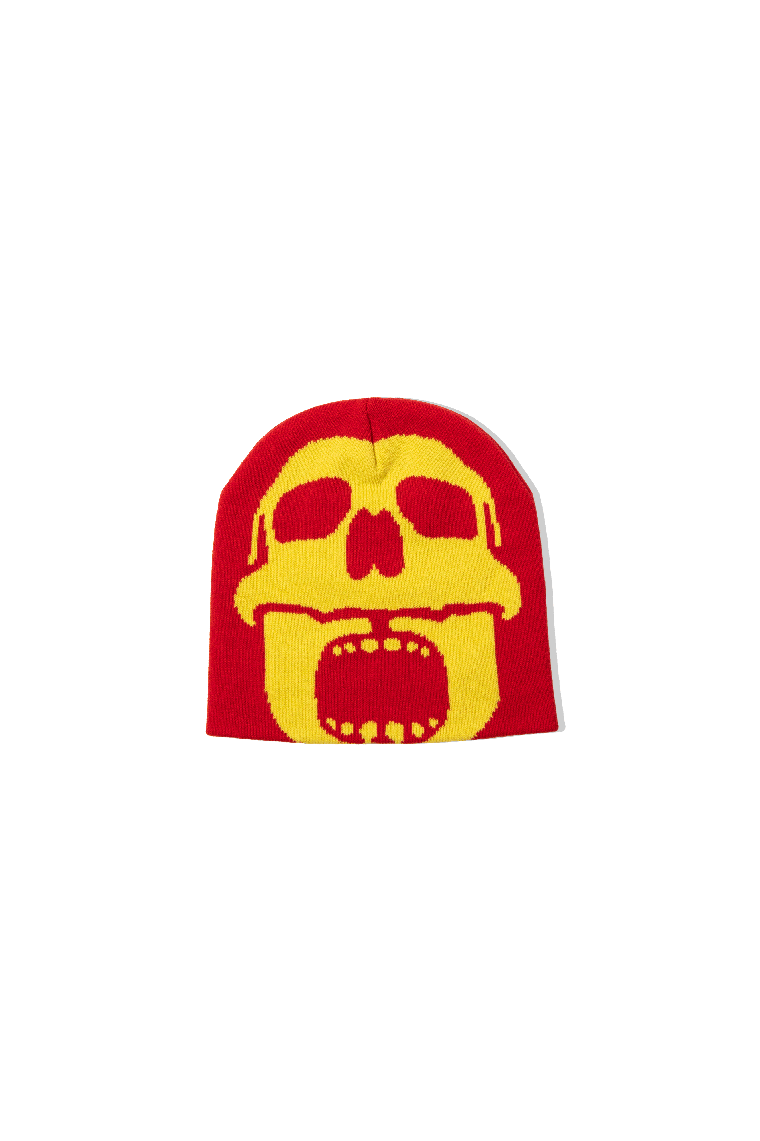 Skull Beanie