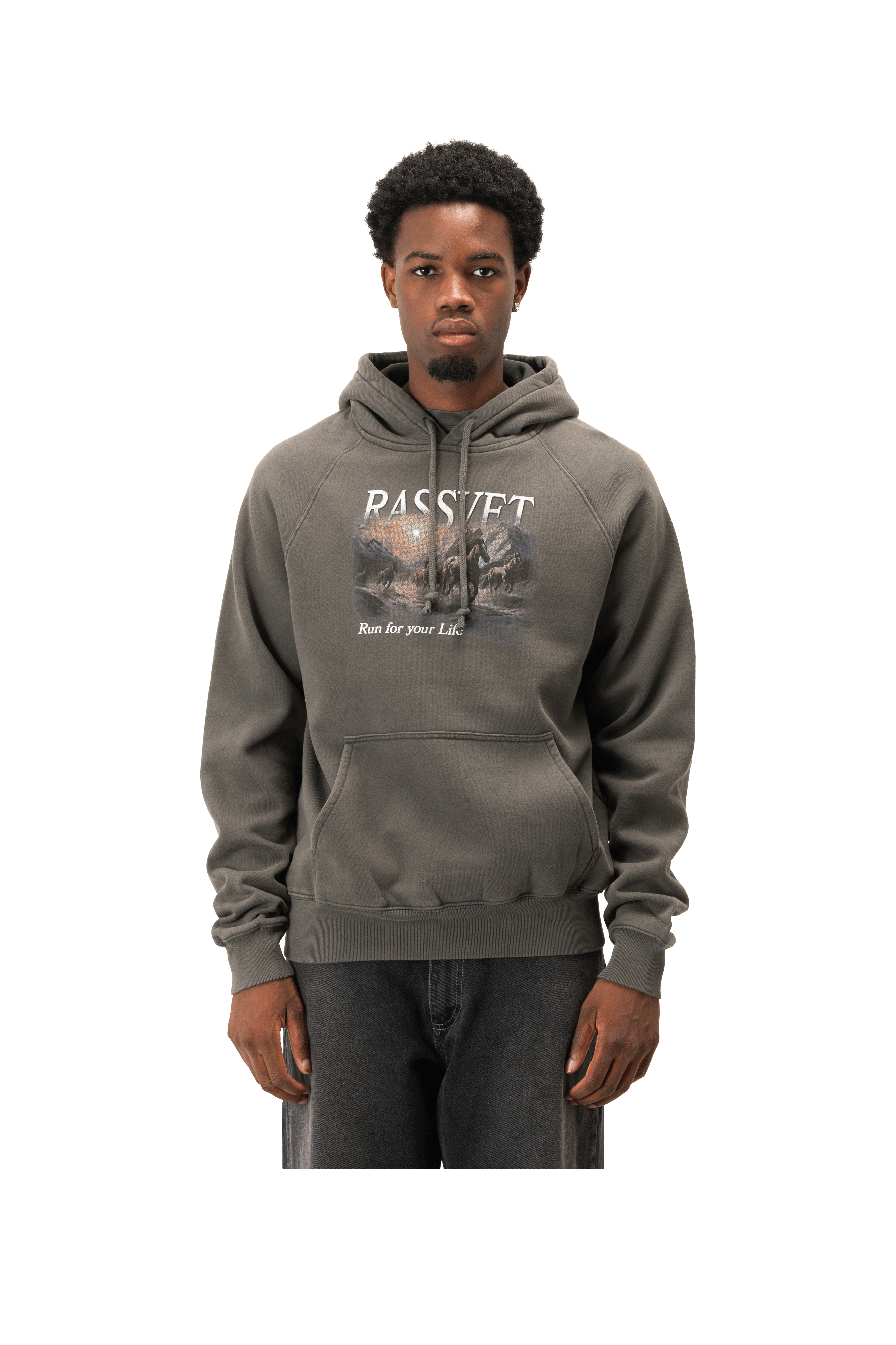 Horses Raglan Hoodie Knit