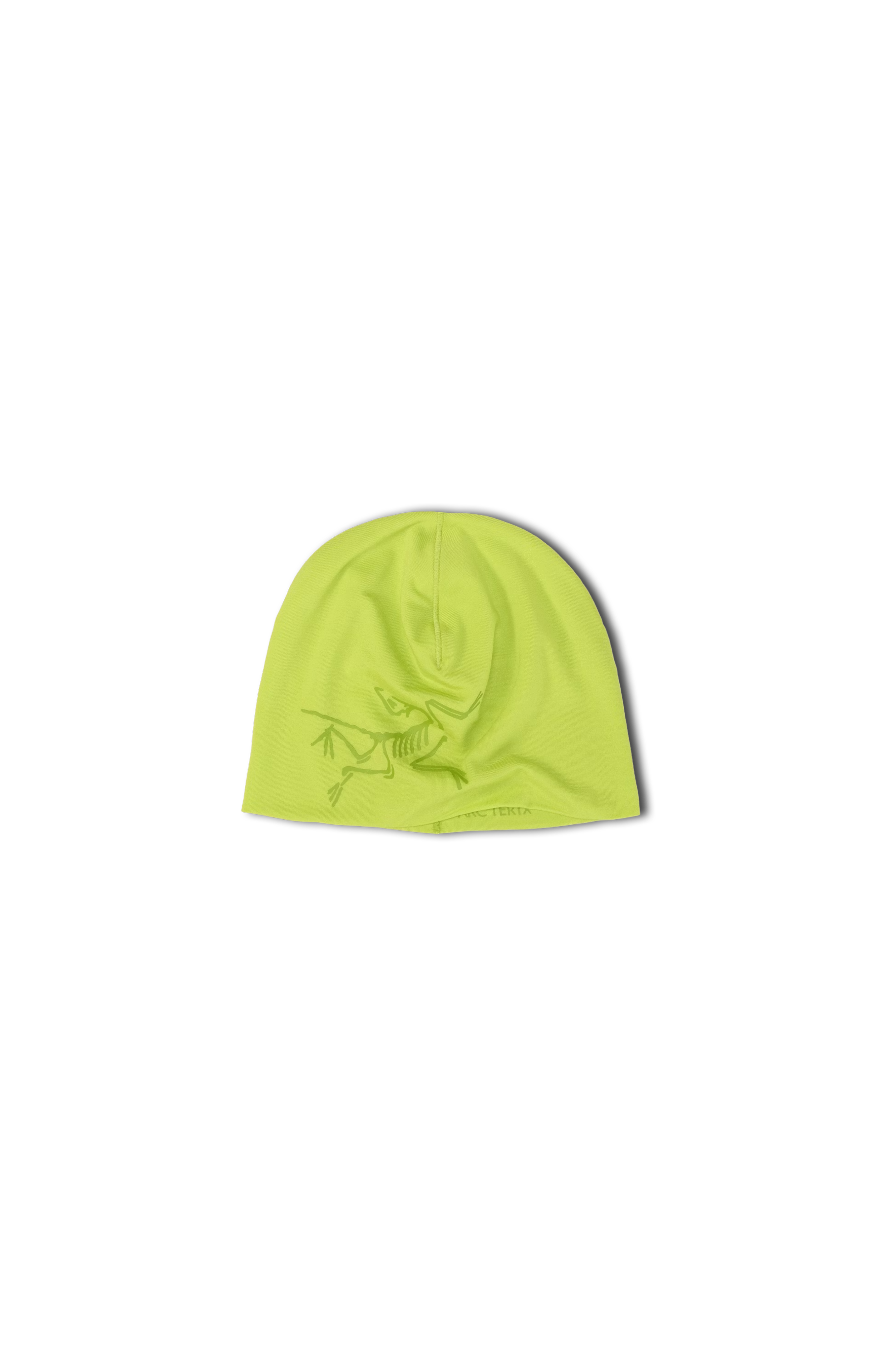 Satoro Merino Toque
