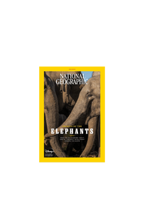 Secrets of The Elephant
