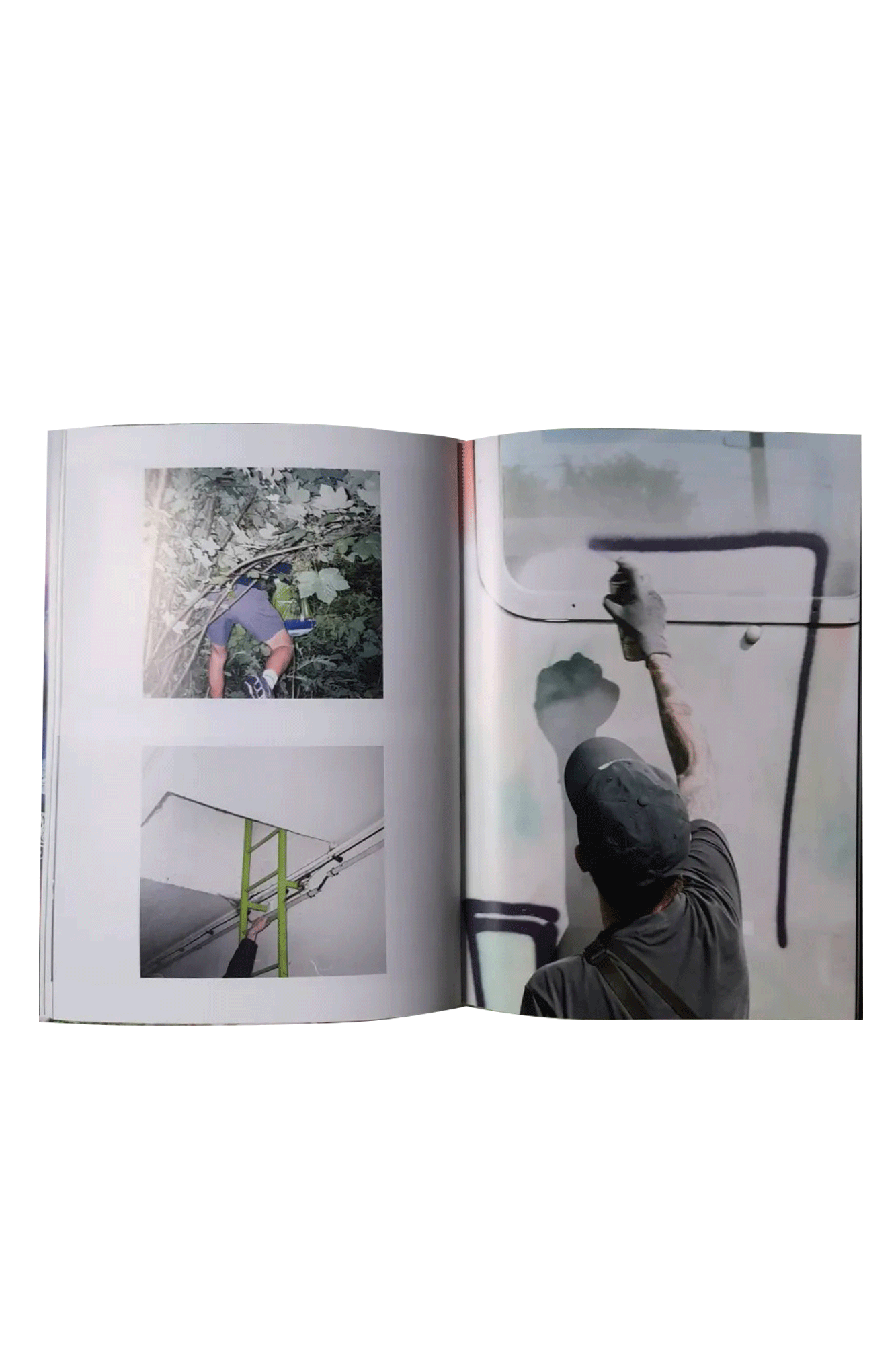 Volume 8