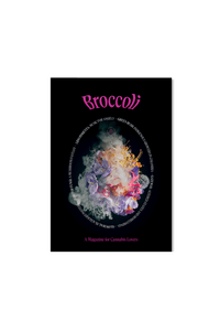 Issue 13
