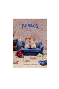 Issue 15