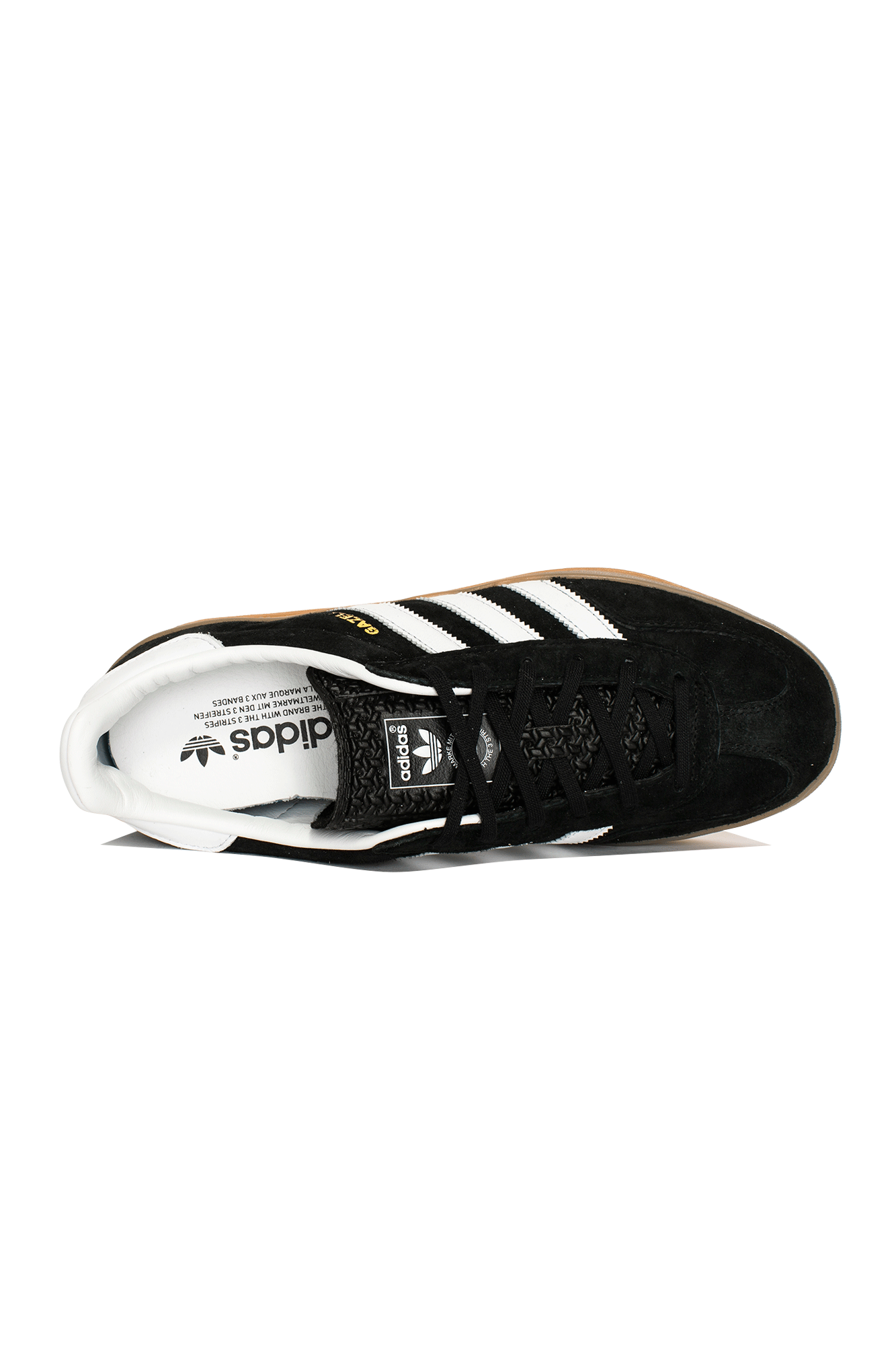 Gazelle Indoor