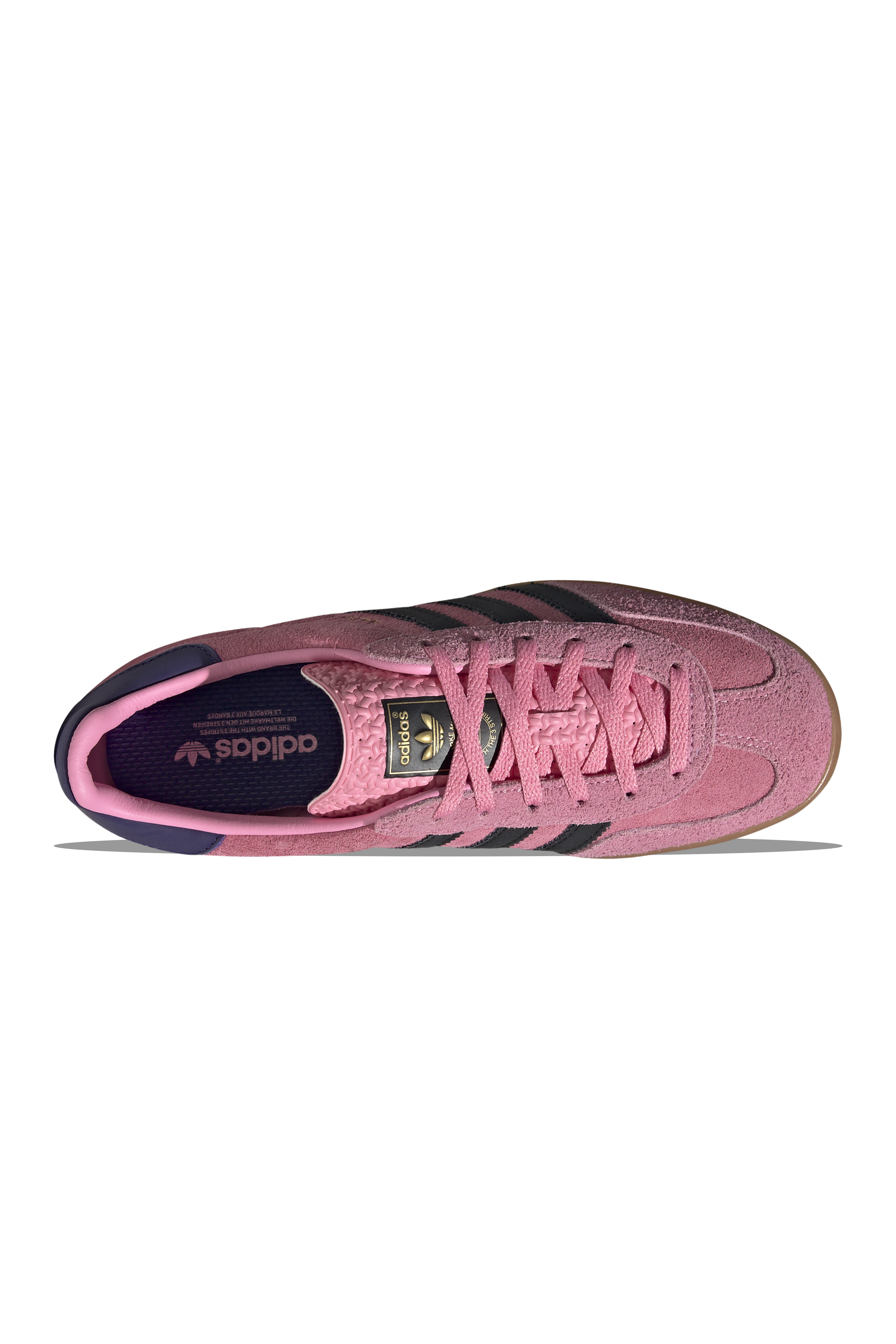 W Gazelle Indoor