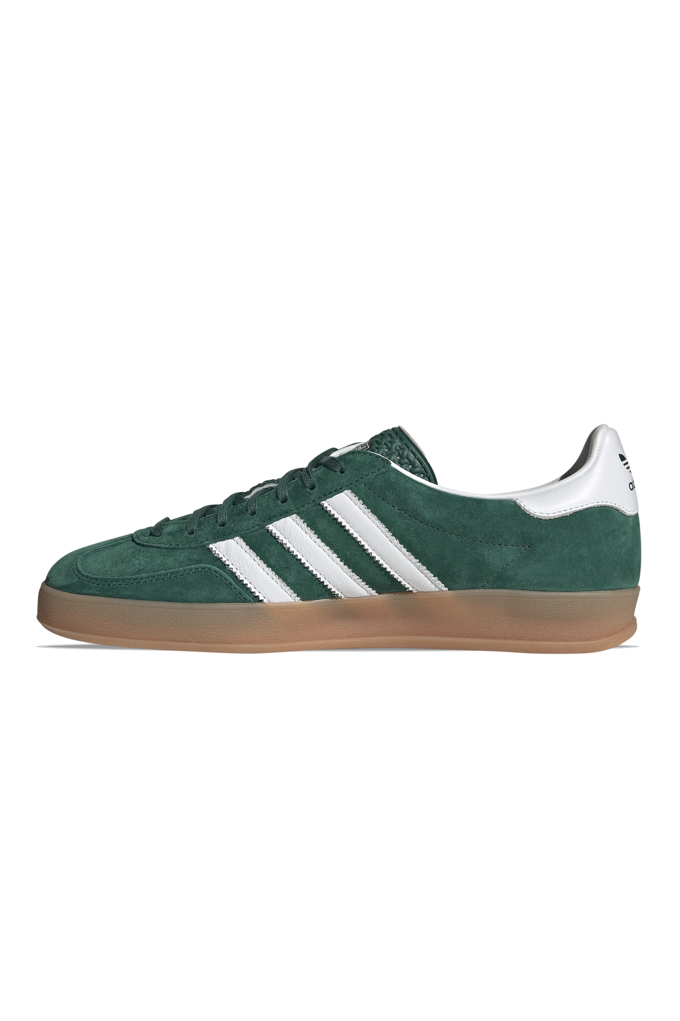 Gazelle Indoor