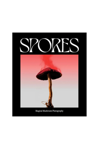 Issue 1